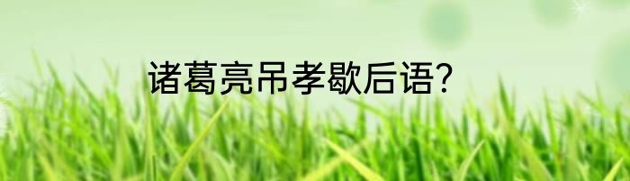 诸葛亮吊孝歇后语？