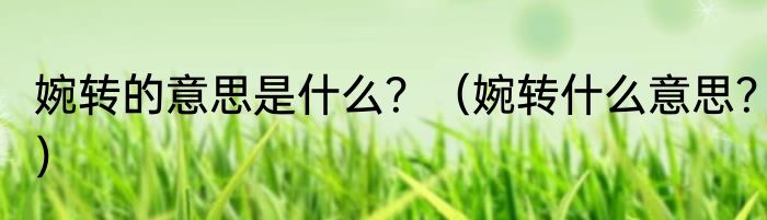 婉转的意思是什么？（婉转什么意思？）