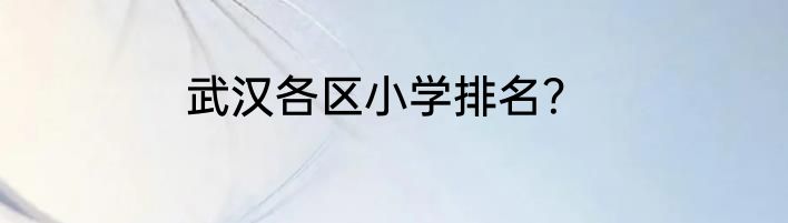 武汉各区小学排名？