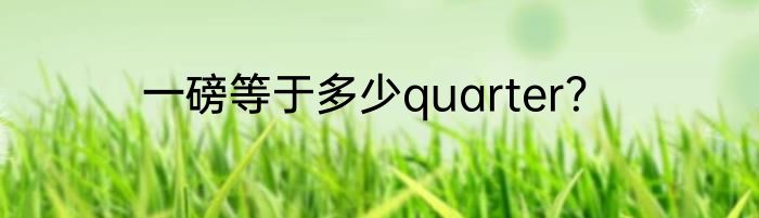 一磅等于多少quarter？
