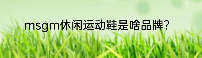msgm休闲运动鞋是啥品牌？