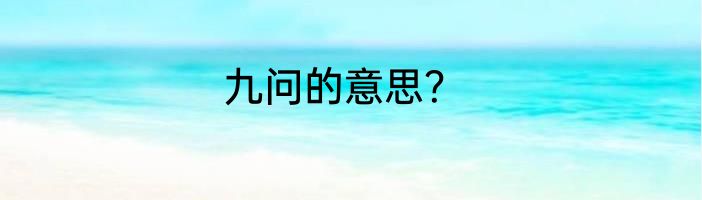 九问的意思？