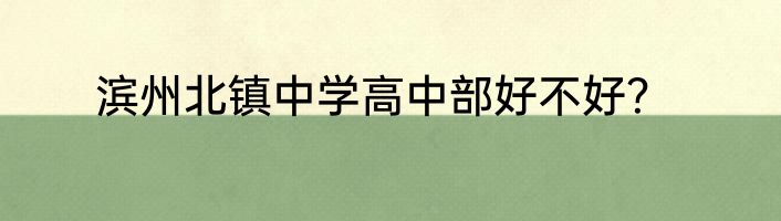 滨州北镇中学高中部好不好？