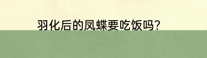 羽化后的凤蝶要吃饭吗？