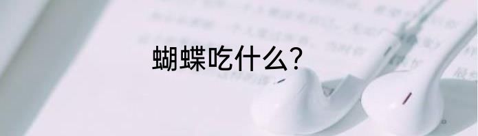 蝴蝶吃什么？