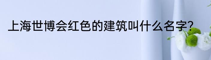 上海世博会红色的建筑叫什么名字？