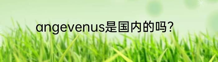 angevenus是国内的吗？