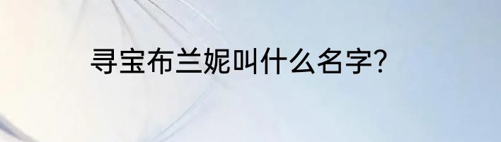 寻宝布兰妮叫什么名字？
