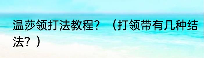 温莎领打法教程？（打领带有几种结法？）