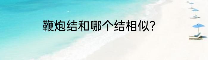 鞭炮结和哪个结相似？