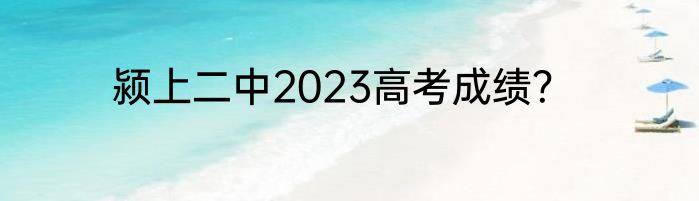 颍上二中2023高考成绩？