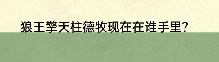 狼王擎天柱德牧现在在谁手里？