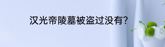 汉光帝陵墓被盗过没有？