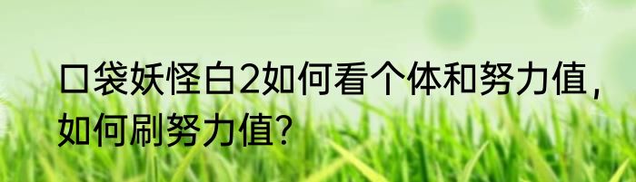 口袋妖怪白2如何看个体和努力值，如何刷努力值？
