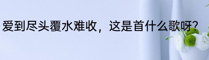 爱到尽头覆水难收，这是首什么歌呀？