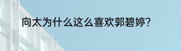 向太为什么这么喜欢郭碧婷？