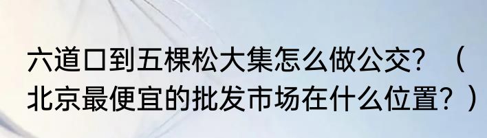六道口到五棵松大集怎么做公交？（北京最便宜的批发市场在什么位置？）