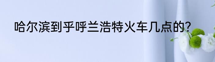 哈尔滨到乎呼兰浩特火车几点的？