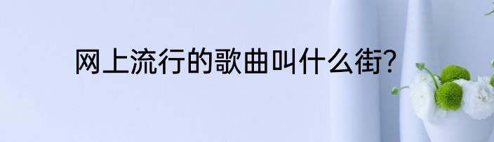 网上流行的歌曲叫什么街？