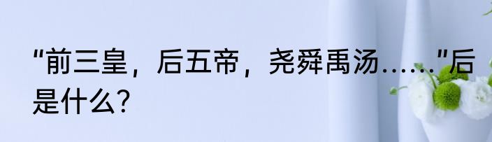 “前三皇，后五帝，尧舜禹汤……”后是什么？