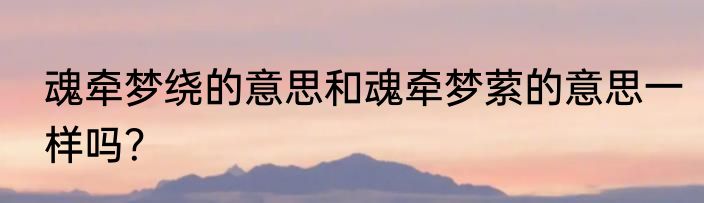 魂牵梦绕的意思和魂牵梦萦的意思一样吗？