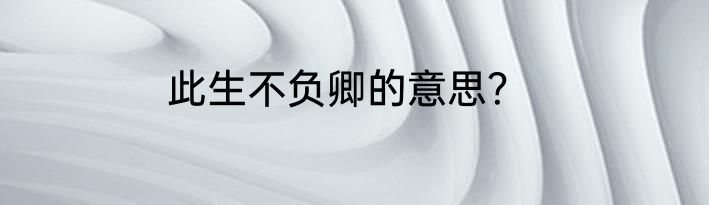 此生不负卿的意思？