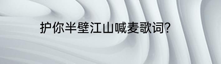 护你半壁江山喊麦歌词？