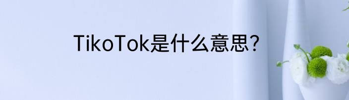 TikoTok是什么意思？