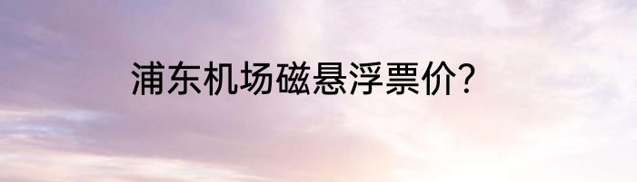浦东机场磁悬浮票价？