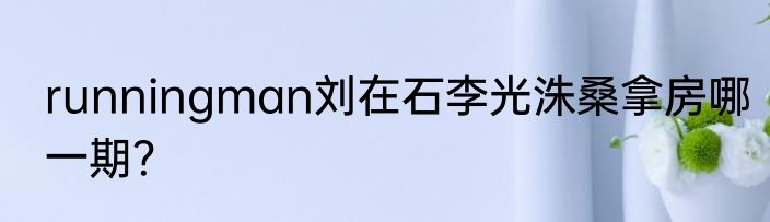 runningman刘在石李光洙桑拿房哪一期？