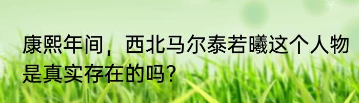 康熙年间，西北马尔泰若曦这个人物是真实存在的吗？