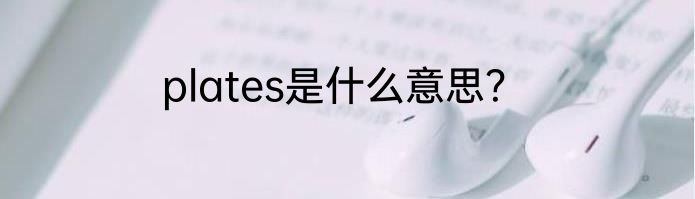 plates是什么意思？