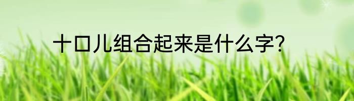 十口儿组合起来是什么字？