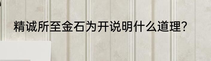 精诚所至金石为开说明什么道理？