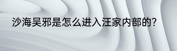 沙海吴邪是怎么进入汪家内部的？