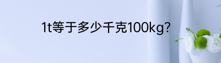1t等于多少千克100kg？