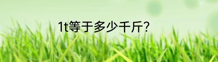 1t等于多少千斤？