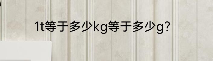 1t等于多少kg等于多少g？