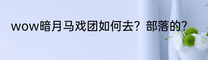 wow暗月马戏团如何去？部落的？