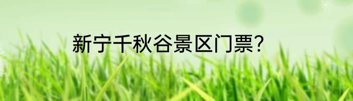 新宁千秋谷景区门票？