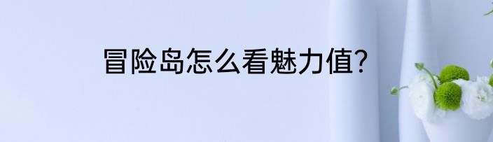 冒险岛怎么看魅力值？