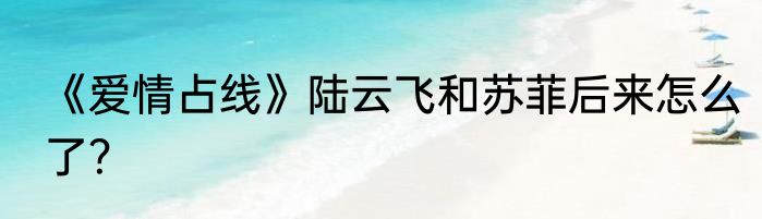 《爱情占线》陆云飞和苏菲后来怎么了？