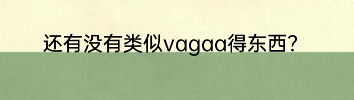 还有没有类似vagaa得东西？