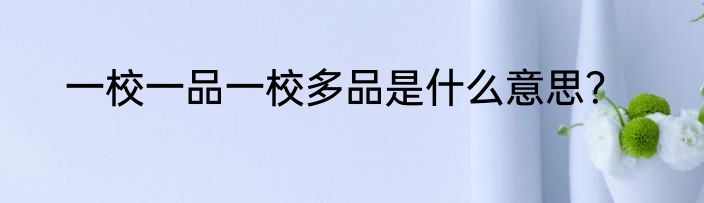 一校一品一校多品是什么意思？