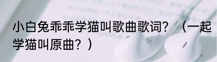 小白兔乖乖学猫叫歌曲歌词？（一起学猫叫原曲？）