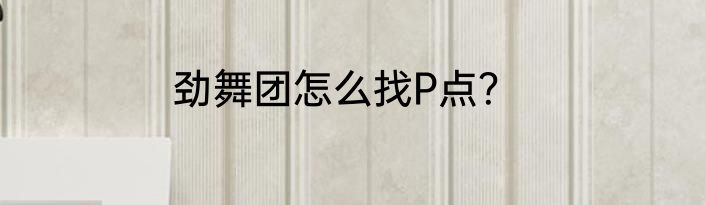 劲舞团怎么找P点？