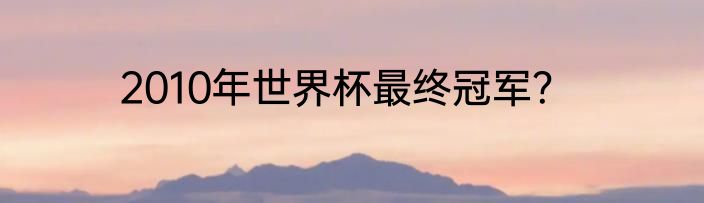 2010年世界杯最终冠军？
