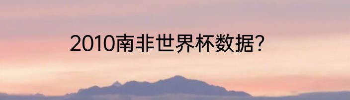2010南非世界杯数据？