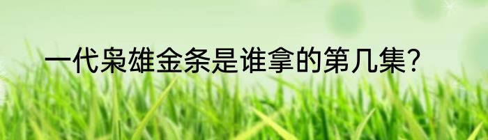 一代枭雄金条是谁拿的第几集？