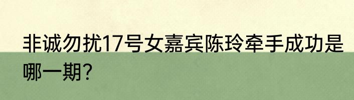 非诚勿扰17号女嘉宾陈玲牵手成功是哪一期？